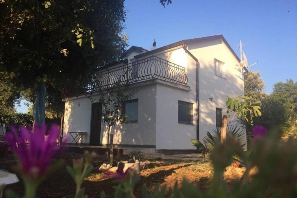 Ferienwohnung Viva 2 Rovinj Exterior foto